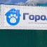 В Новом Уренгое готов к приёму новый приют для бездомных животных «ГороДог» - Телевидение Импульс